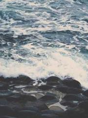 Becoming a solitary 