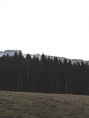 The Rough Man Hunter