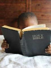 Cultivating My Empre