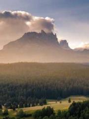 Reborn in 1989: Crea